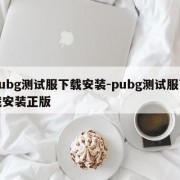 pubg测试服下载安装-pubg测试服下载安装正版