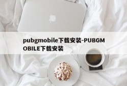 pubgmobile下载安装-PUBGMOBILE下载安装